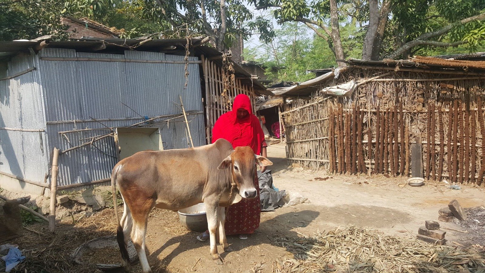 Helping people with our Social Welfare program